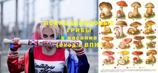 круглые Арсеньев