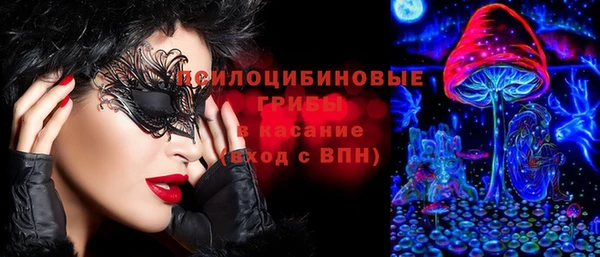 прущие крисы Алзамай