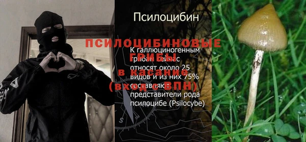 ешки Алексин